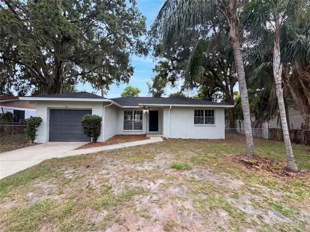 4209 E Alene Drive, TAMPA