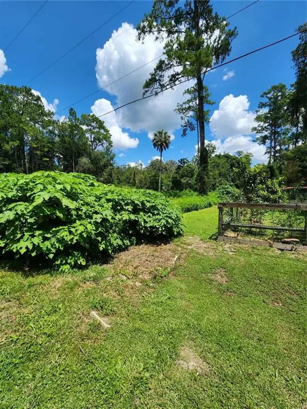 5231 Se 25th Avenue, OCALA