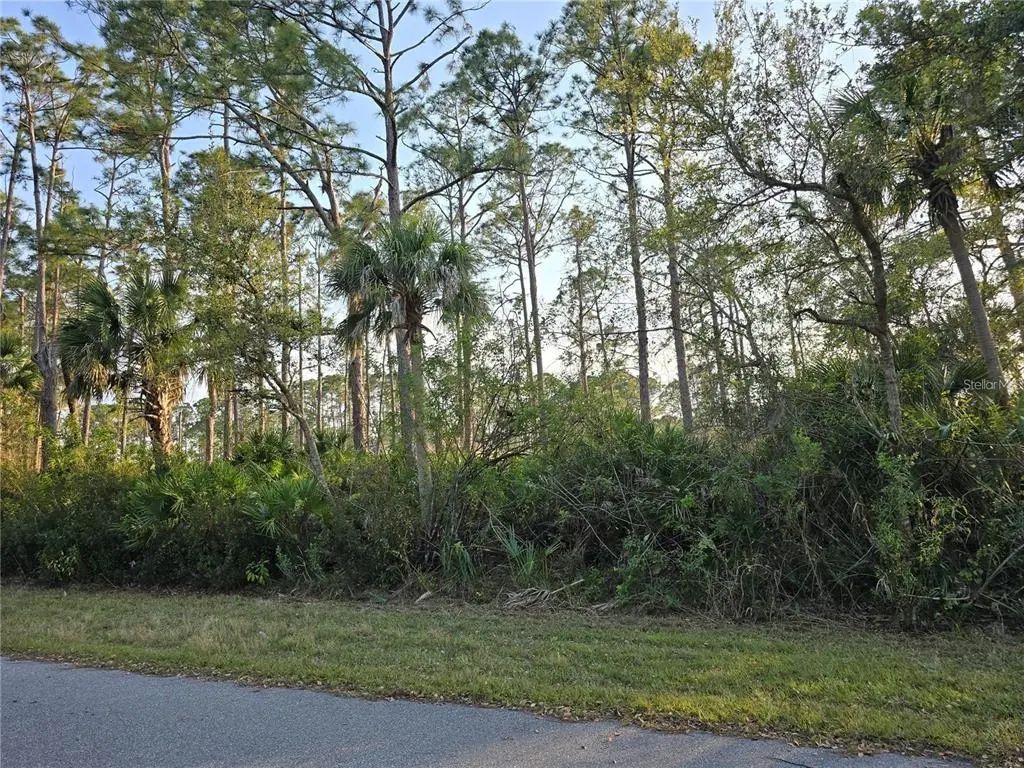 12469 Harlow Avenue, PORT CHARLOTTE