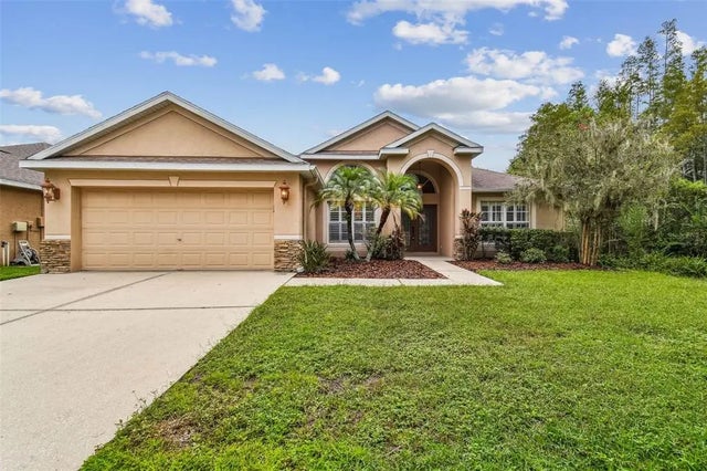 19207 Robin Perch Lane, TAMPA