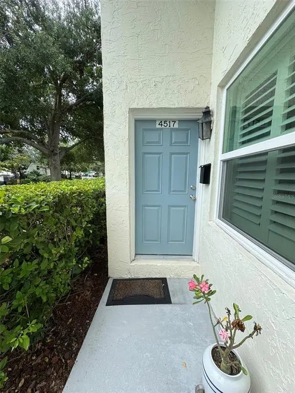 4517 W La Villa Lane, TAMPA
