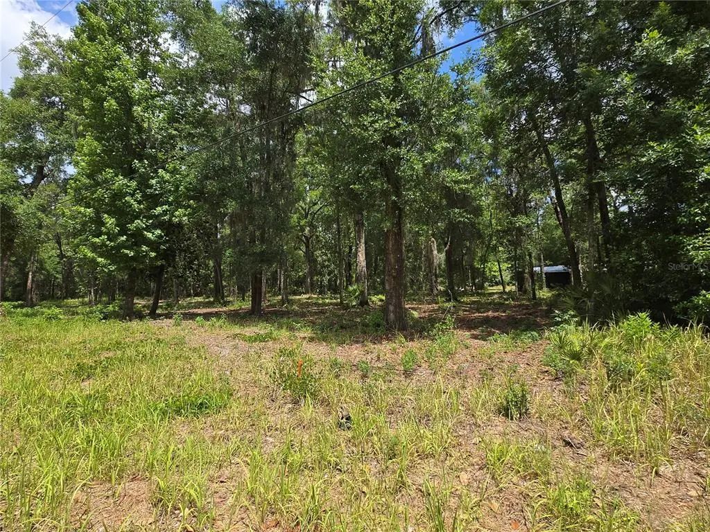 Sw 15th Place, OCALA