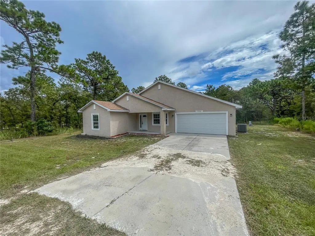 15316 Scaup Duck Avenue, WEEKI WACHEE