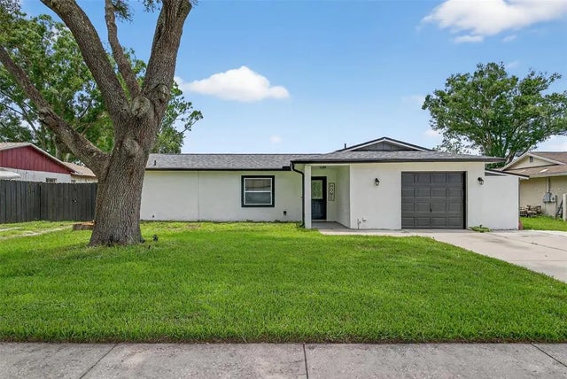 17821 Morninghigh Drive, LUTZ