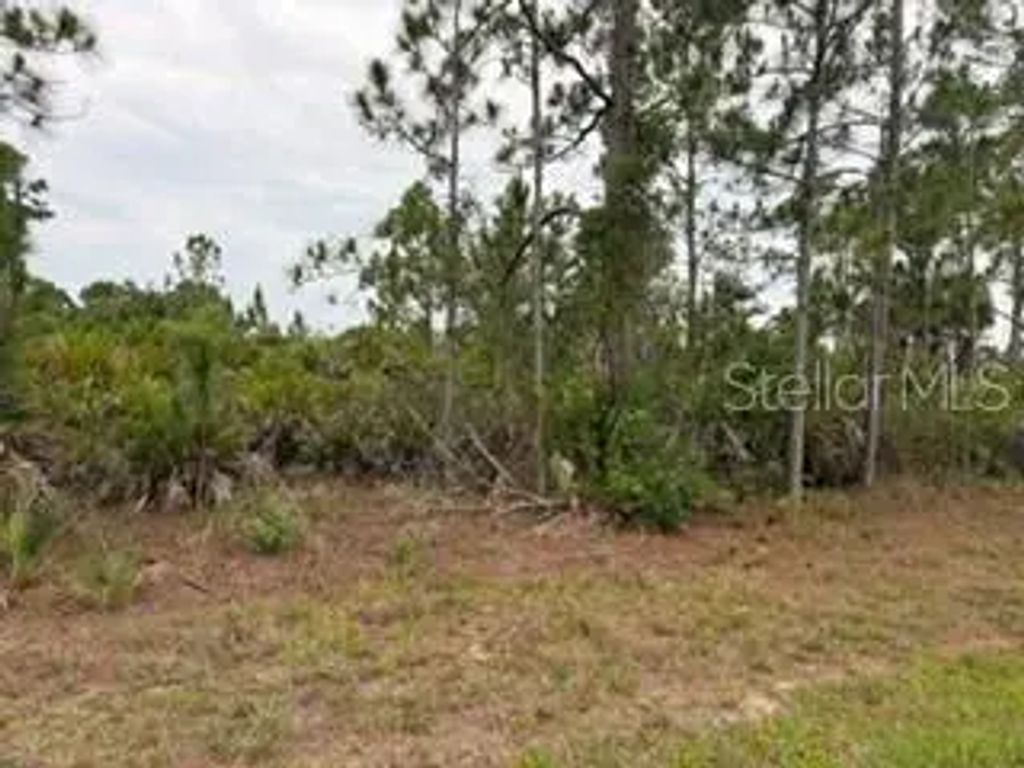 12141 Mc Elroy Avenue, PORT CHARLOTTE