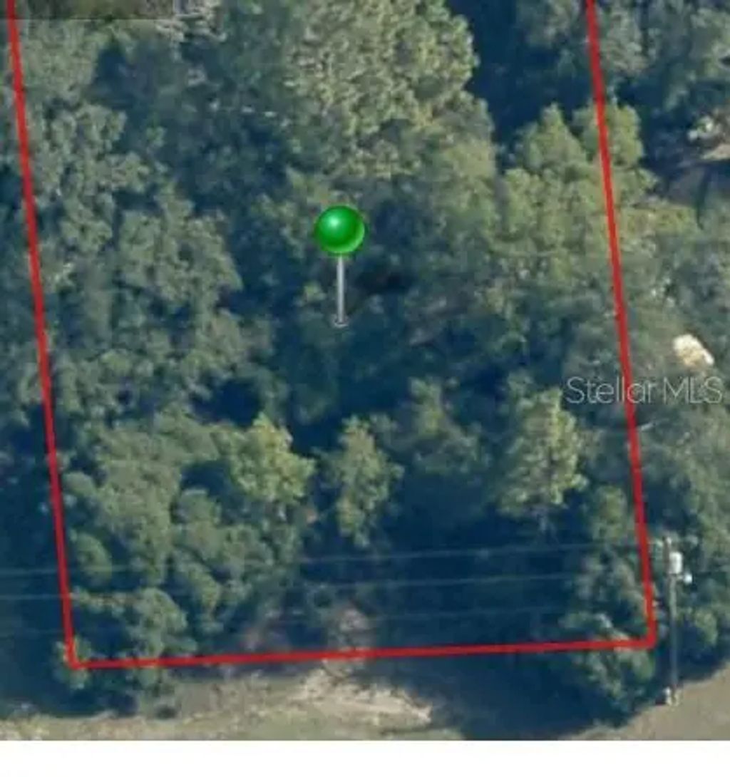 2059 W Paragon Lane, Dunnellon