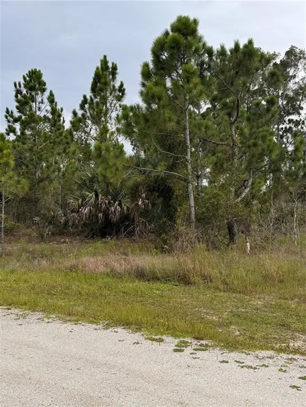 13279 Carousel Drive, PUNTA GORDA