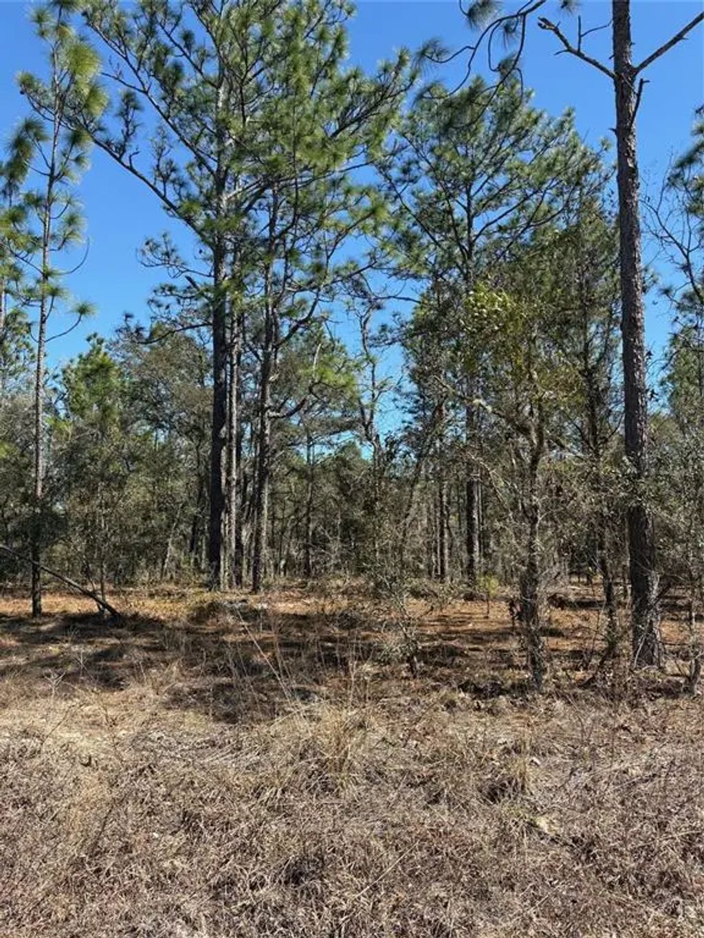 Tba Se 135th Court, DUNNELLON