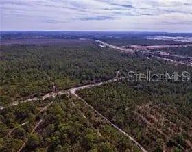 International Dr, ORLANDO