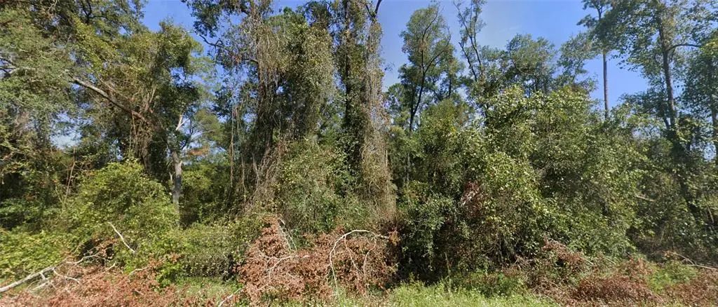 Tbd Nw Suwannee Valley Road, LAKE CITY