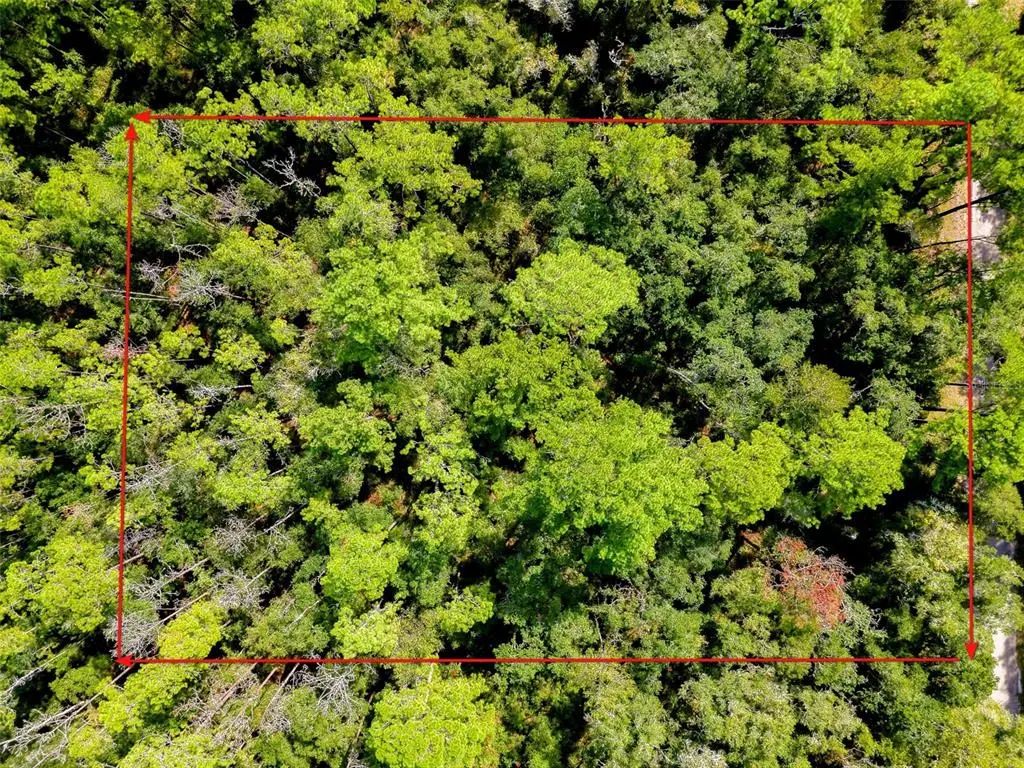 1163 E Odin Drive, CITRUS SPRINGS