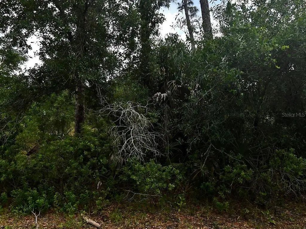 Loffreda Avenue, NORTH PORT