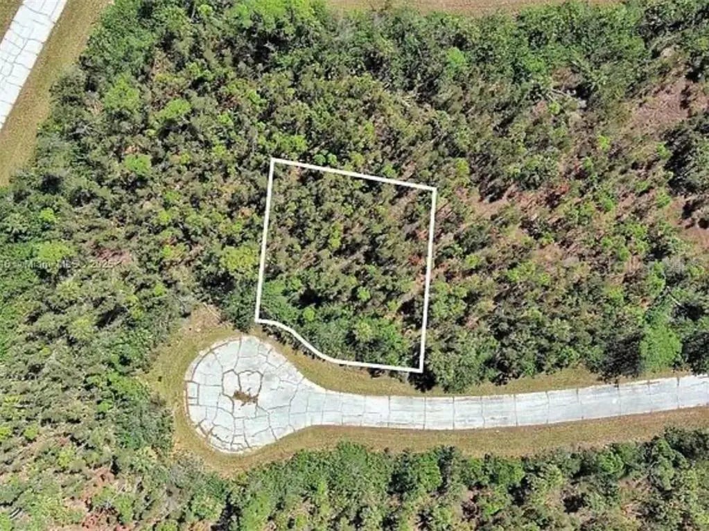 Photo of Listing #O6352027