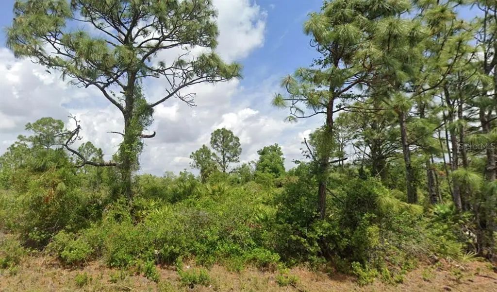 12118 Strett Avenue, PORT CHARLOTTE