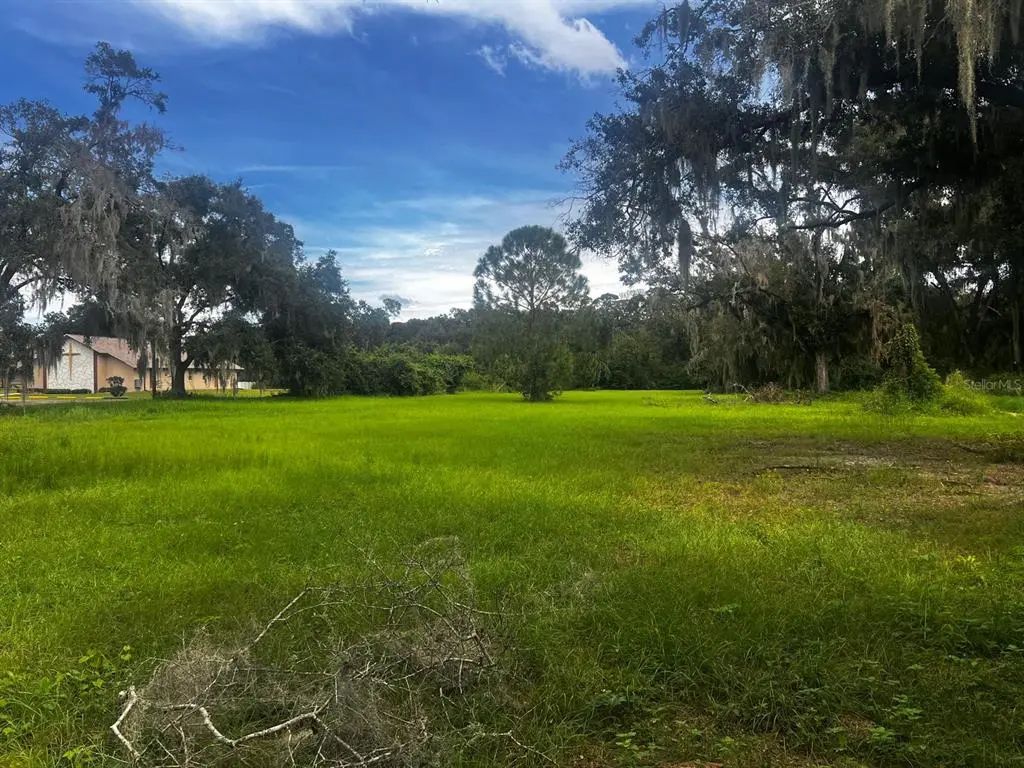 1308 North Shannon Avenue, PLANT CITY