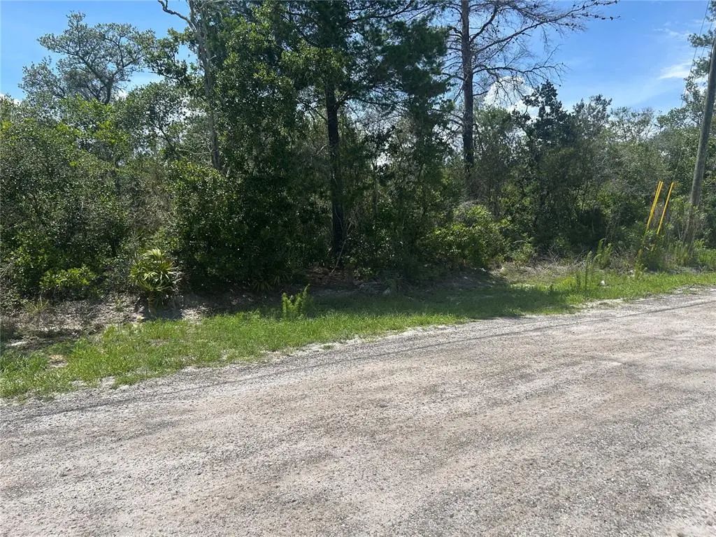 Waldor Avenue, ORANGE CITY, FL