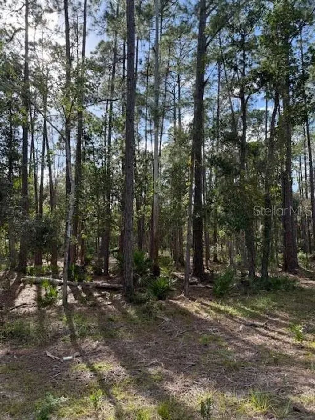 207 Ocala Court, GEORGETOWN