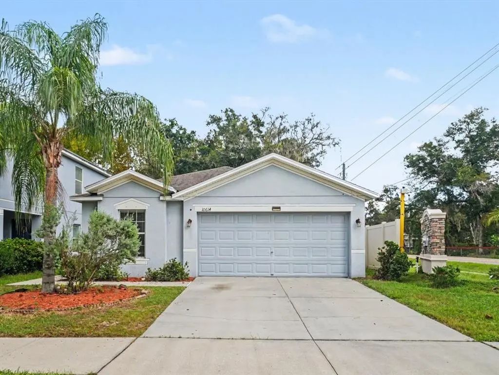 10614 Summer Azure Drive, RIVERVIEW