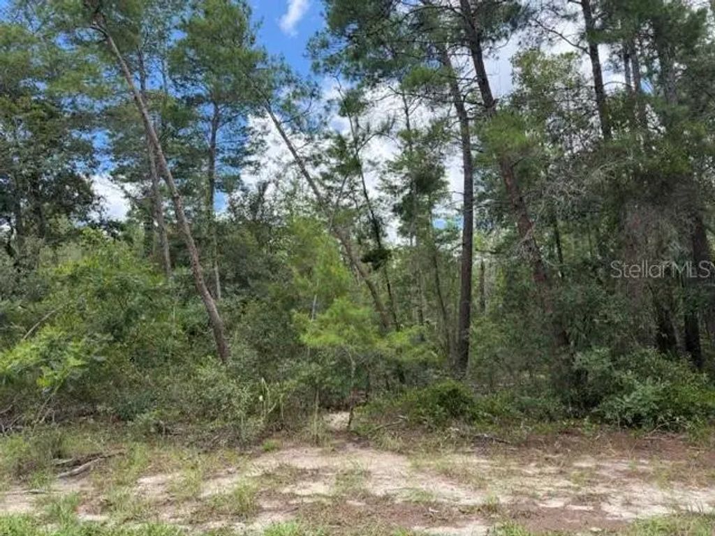 13, 15, & 16 Petunias Court, Homosassa