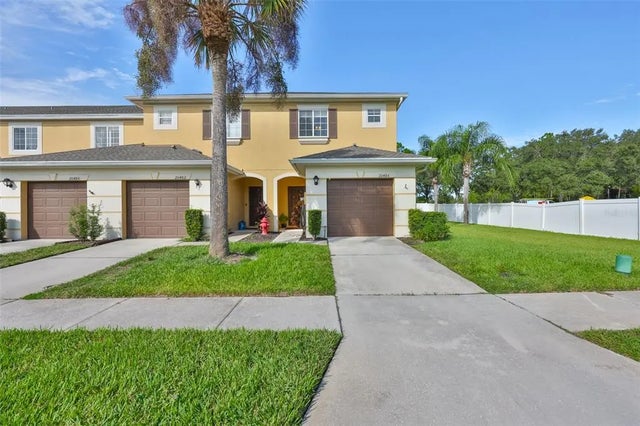 20484 Needletree Drive, TAMPA