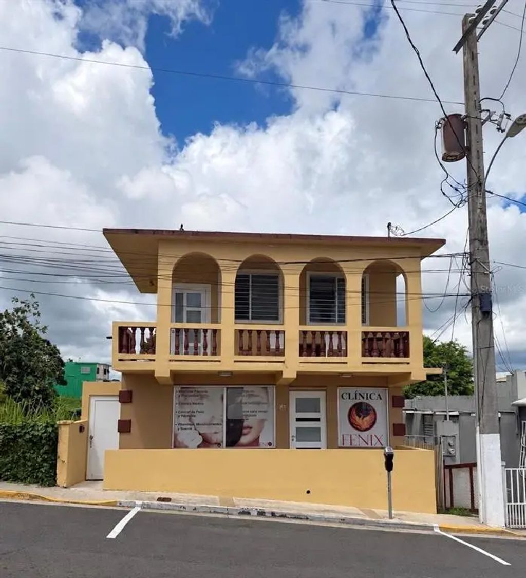 60 Calle Degetau, AIBONITO