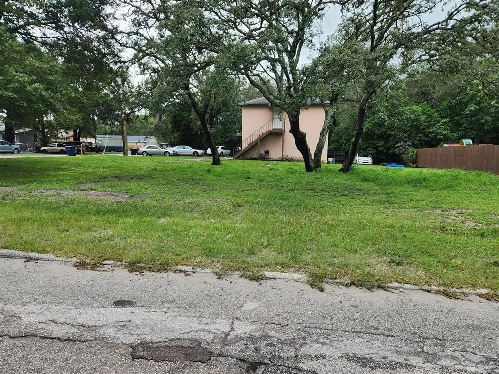 1006 E Poinsettia Avenue, TAMPA