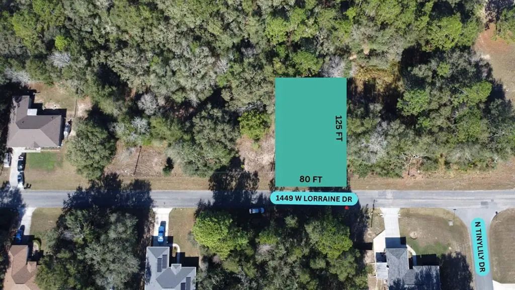 1449 W Lorraine Drive, CITRUS SPRINGS