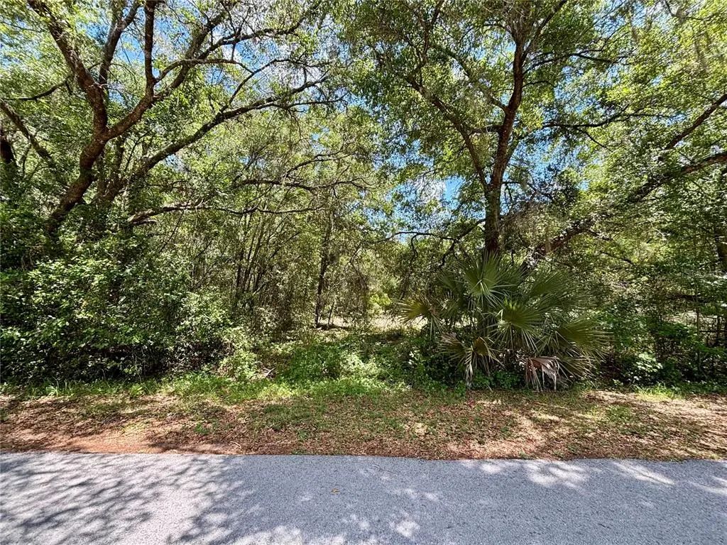 Lot 15 Sw Shorewood Drive, DUNNELLON