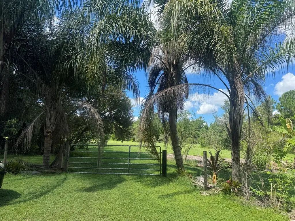 Mecca Hammock Trail, SANFORD