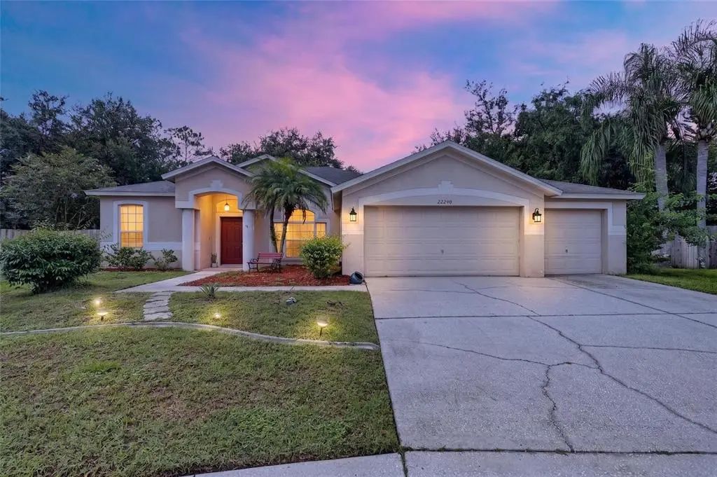 22240 Willow Lakes Drive, LUTZ