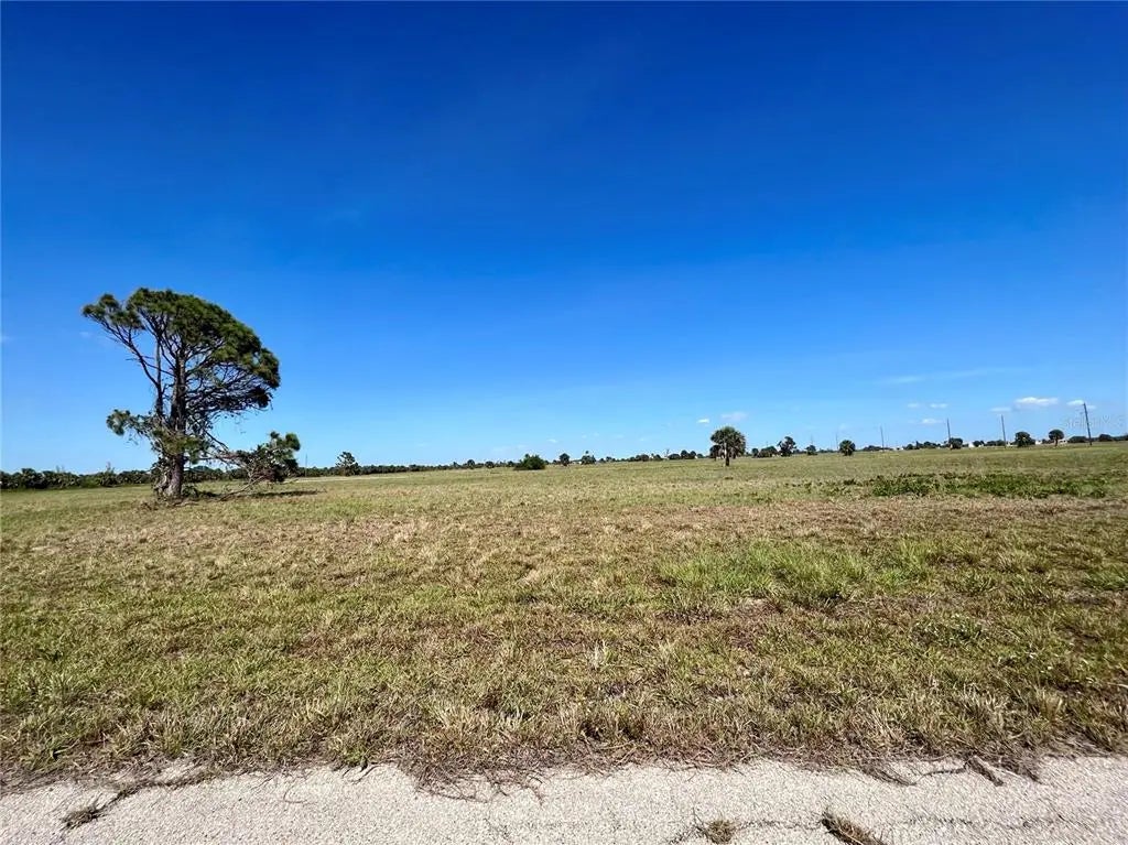 Photo of Listing #C7509562