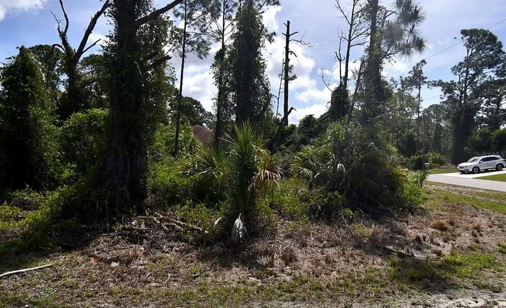 Laskin Avenue, NORTH PORT