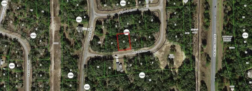 11163 N Academy Drive, CITRUS SPRINGS