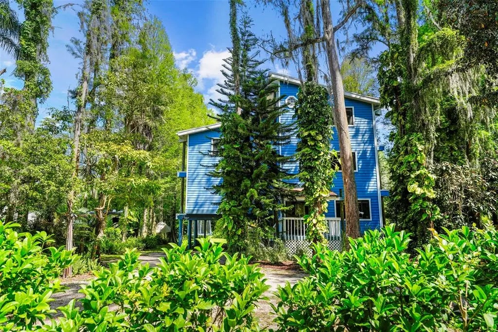 18716 Lake Commiston Drive, LUTZ