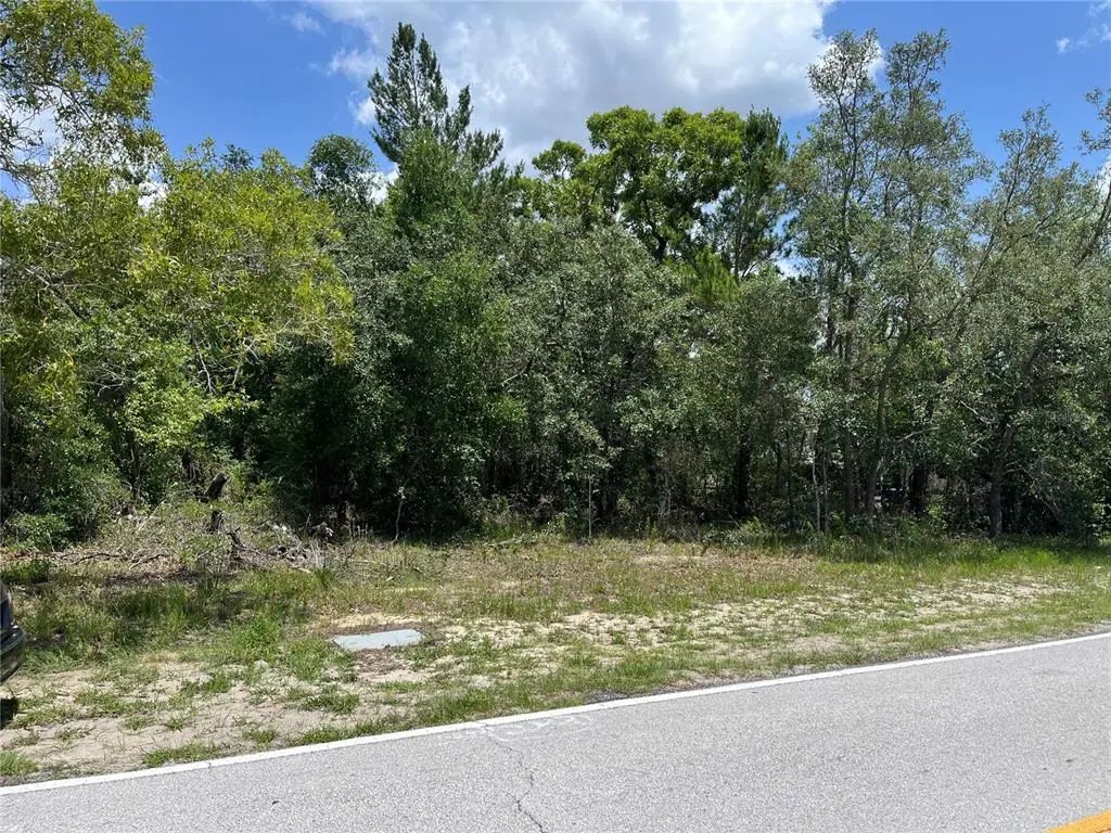 Pinehurst Drive, SPRING HILL