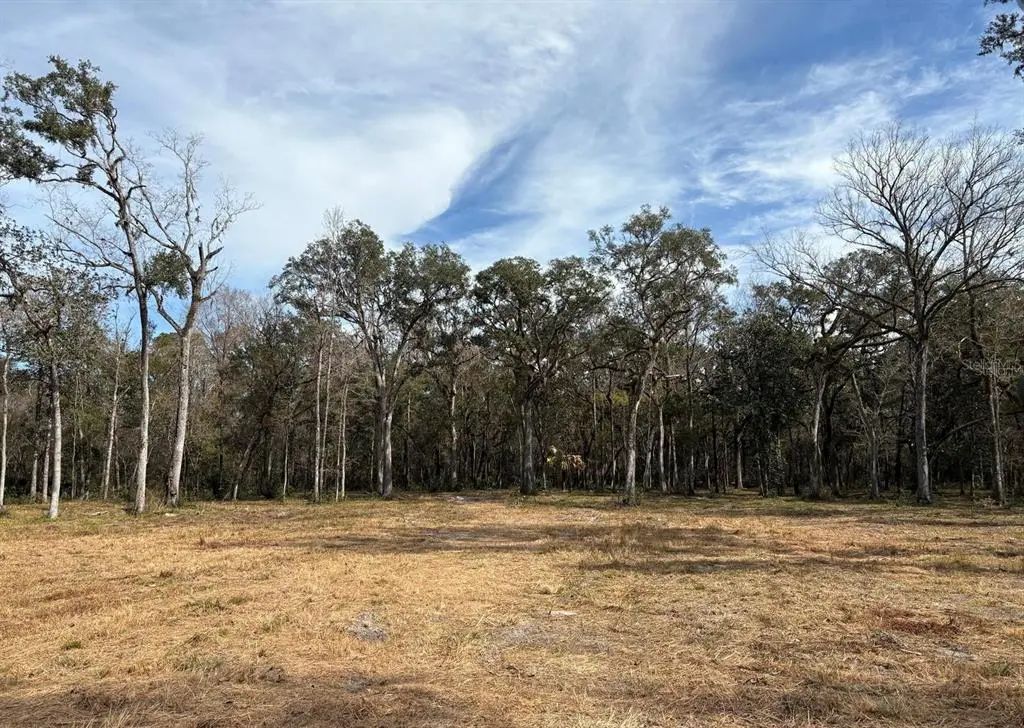 Lake Lindsey Road, BROOKSVILLE