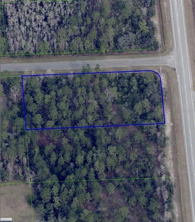 Dallas Blvd, ORLANDO