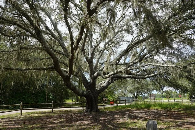 74th Avenue N, PINELLAS PARK