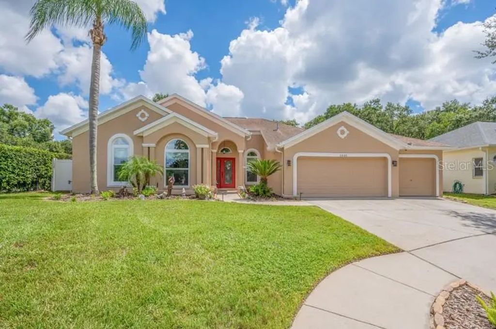 1001 Split Silk Street, VALRICO