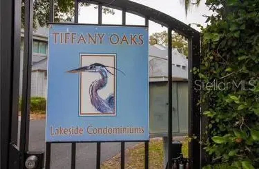 9726 Tiffany Oaks Lane 9726, TAMPA