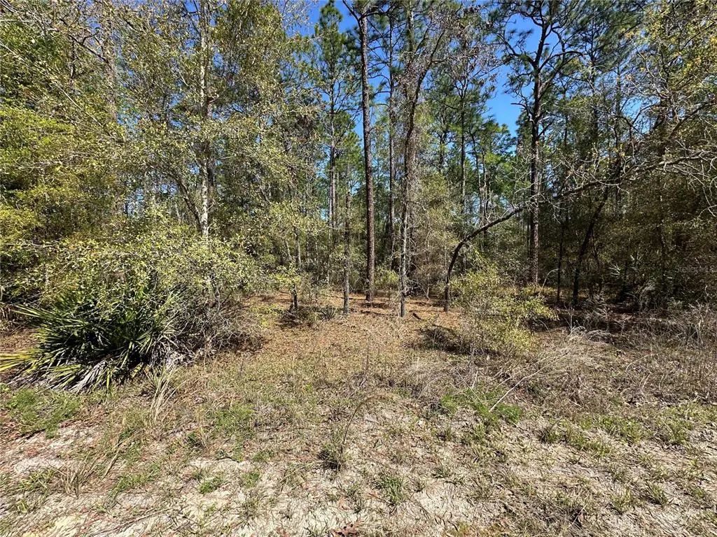 Tbd Sw 29th Street, OCALA