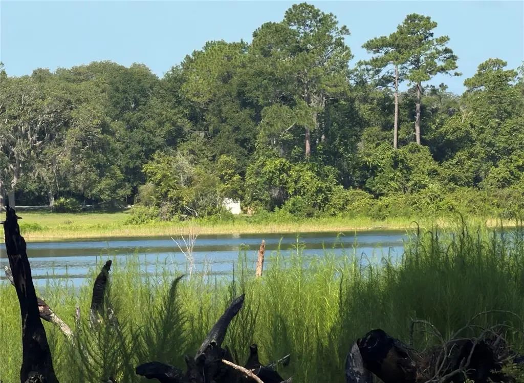 Tbd Malauka Radial, OCKLAWAHA