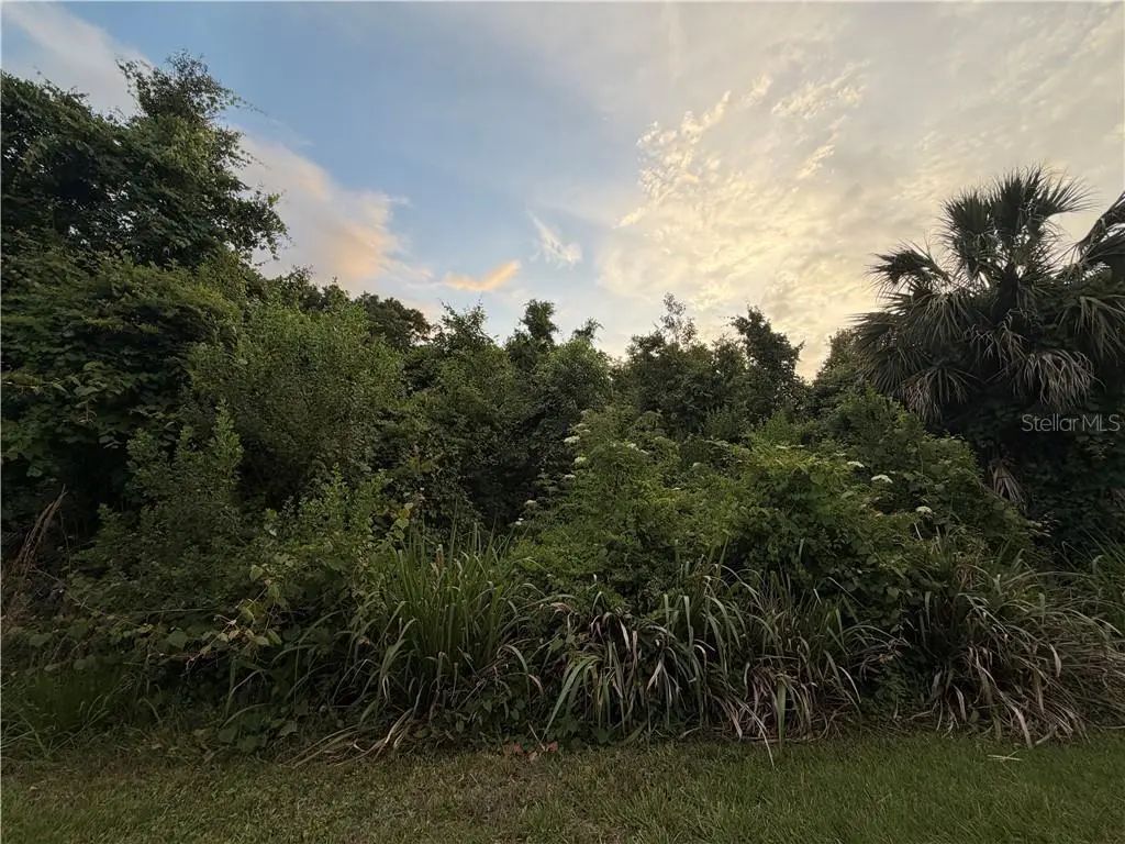 1062 N Fan Palm Point, Crystal River