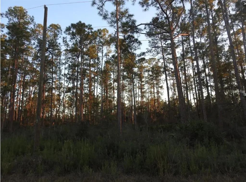 320 Gaillardia Drive, INDIAN LAKE ESTATES