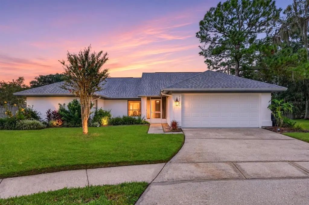 18301 Big Pond Way, TAMPA