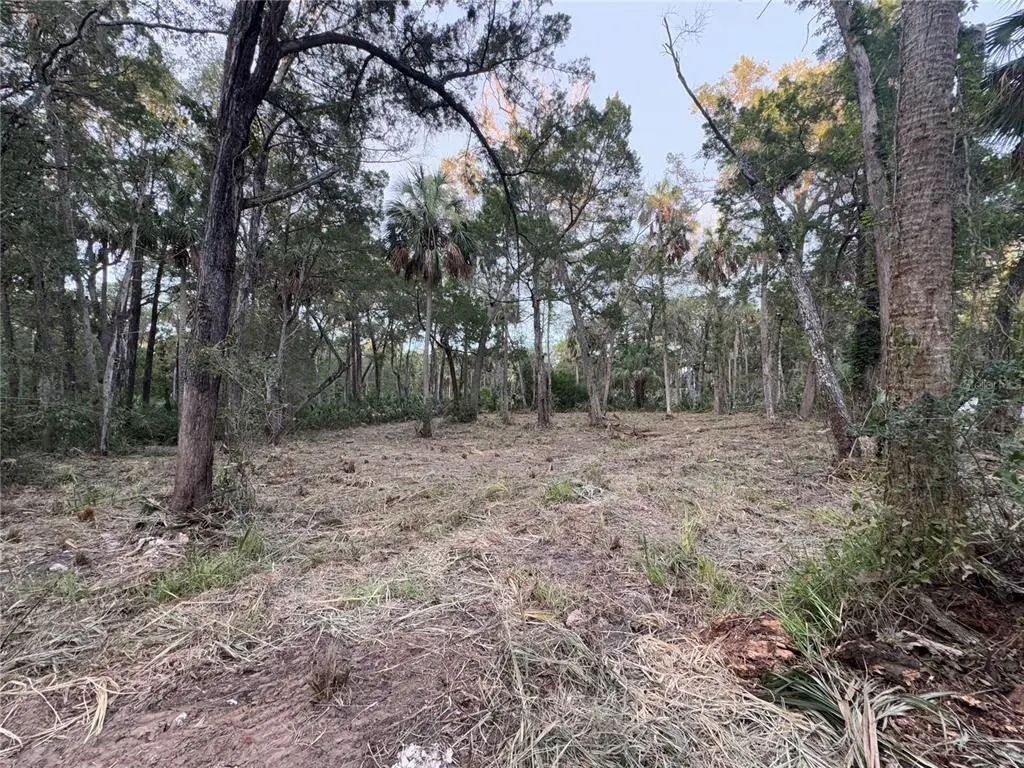 11905 W Eldred Lane, HOMOSASSA