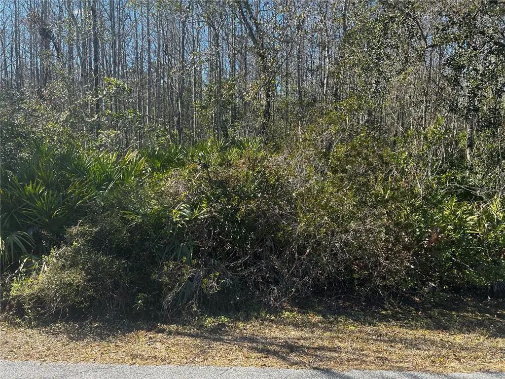 1228 Murdock Boulevard, ORLANDO