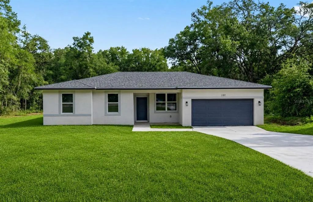1197 W G Martinelli Boulevard, CITRUS SPRINGS