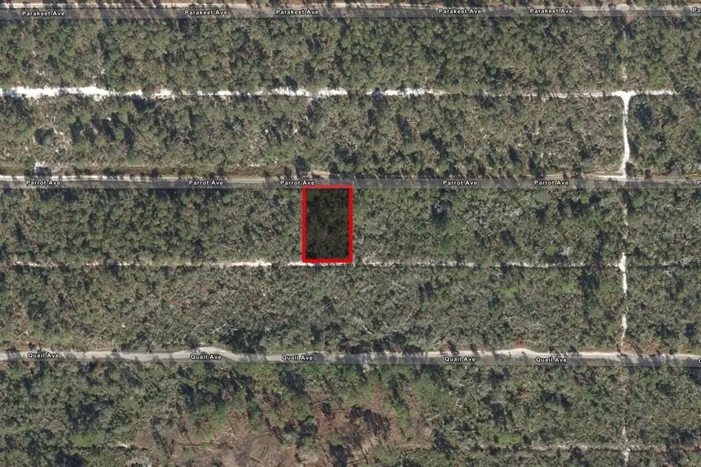 533 Parrot Avenue, SEBRING