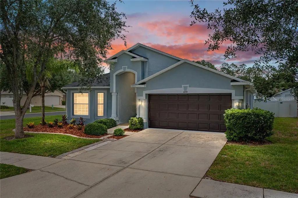 4224 Branchside Lane, WESLEY CHAPEL